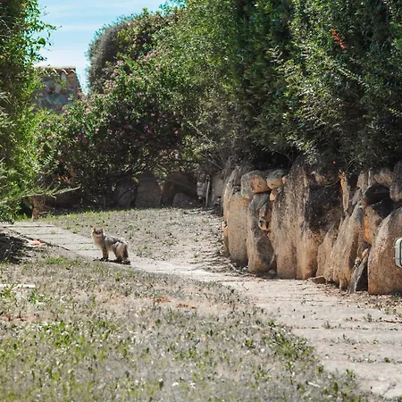 Bgitalianvacation - Di Rocca Sant'elmo 別荘