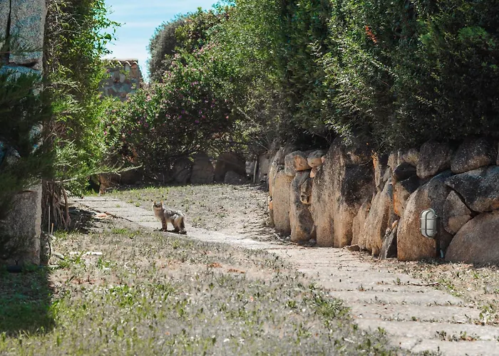Bgitalianvacation - Di Rocca Sant'elmo Casa de Férias
